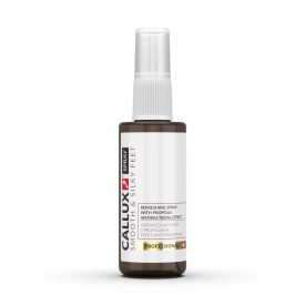 Antibakteriális spray 55 ml